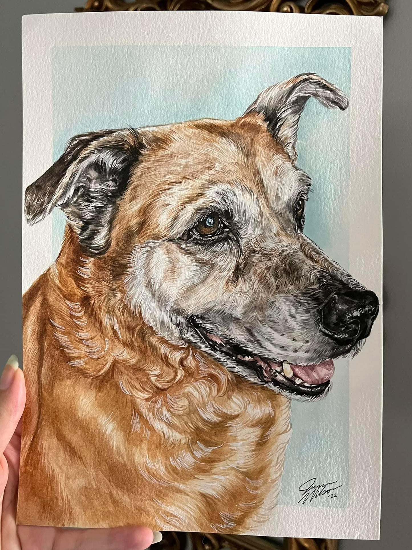 single watercolor pet portrait