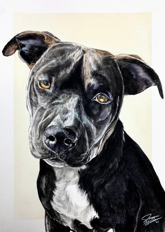 single watercolor pet portrait