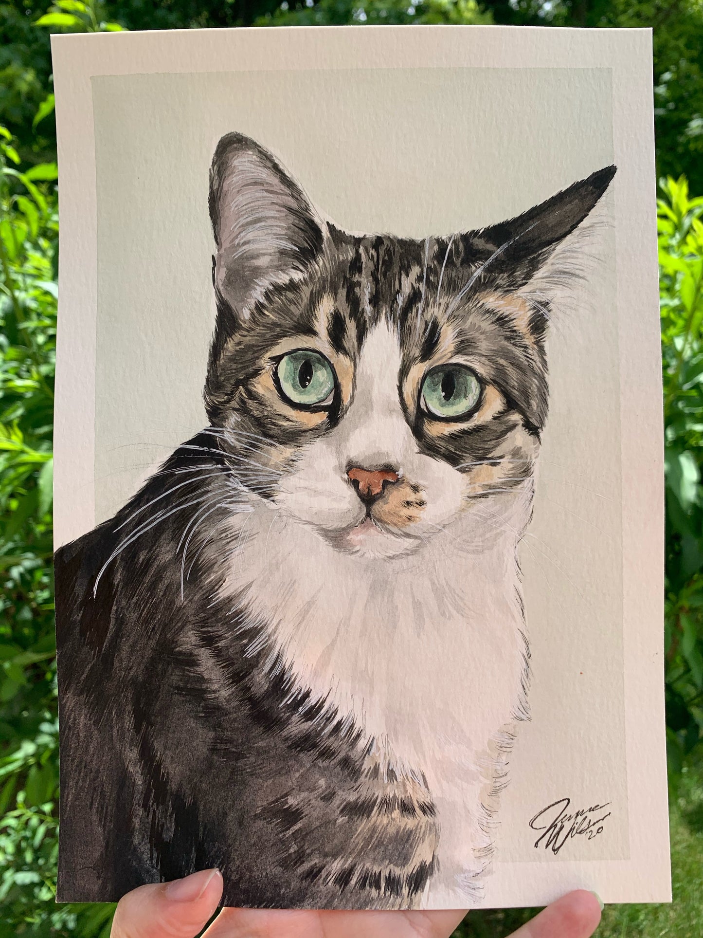 single watercolor pet portrait