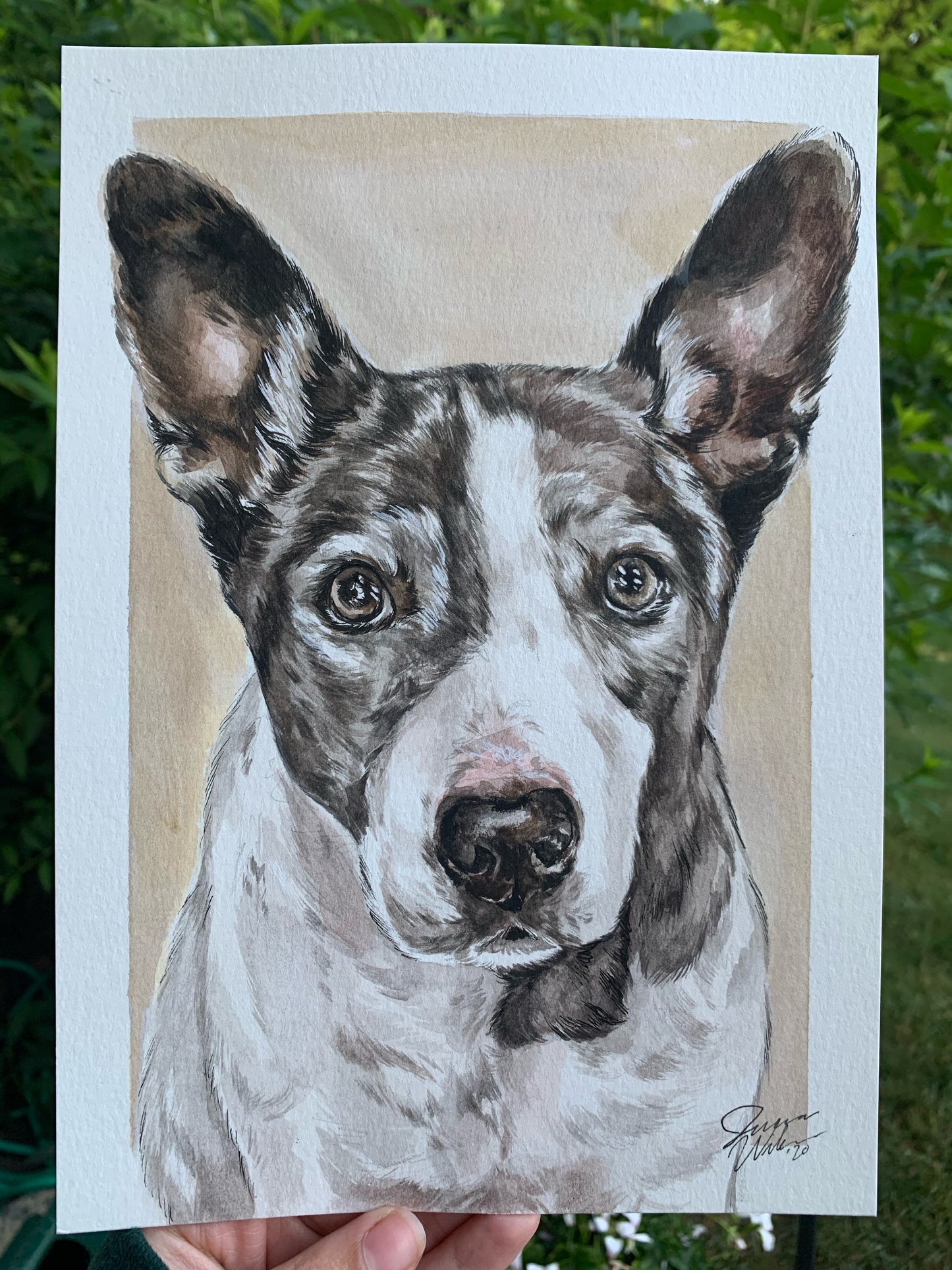 single watercolor pet portrait