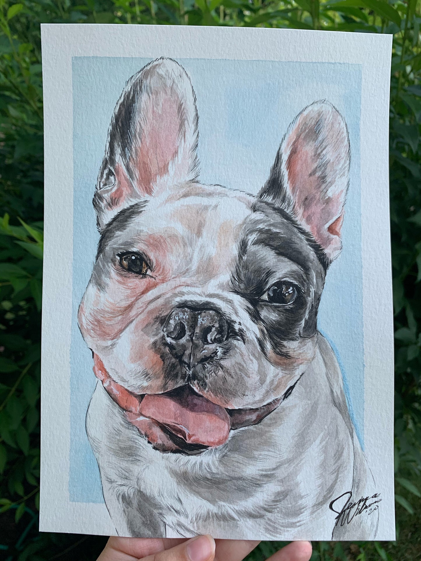 single watercolor pet portrait